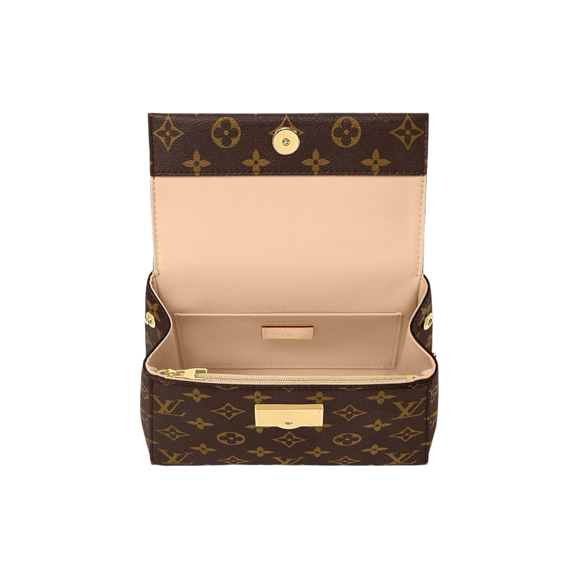 Louis Vuitton Cluny Mini Çantë Dore
